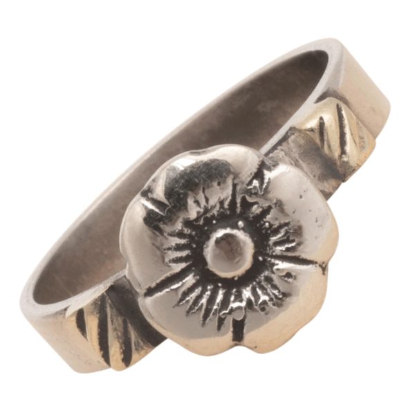 Anillo Alpaca