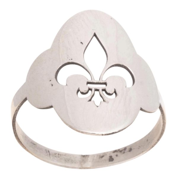 Anillo De Alpaca